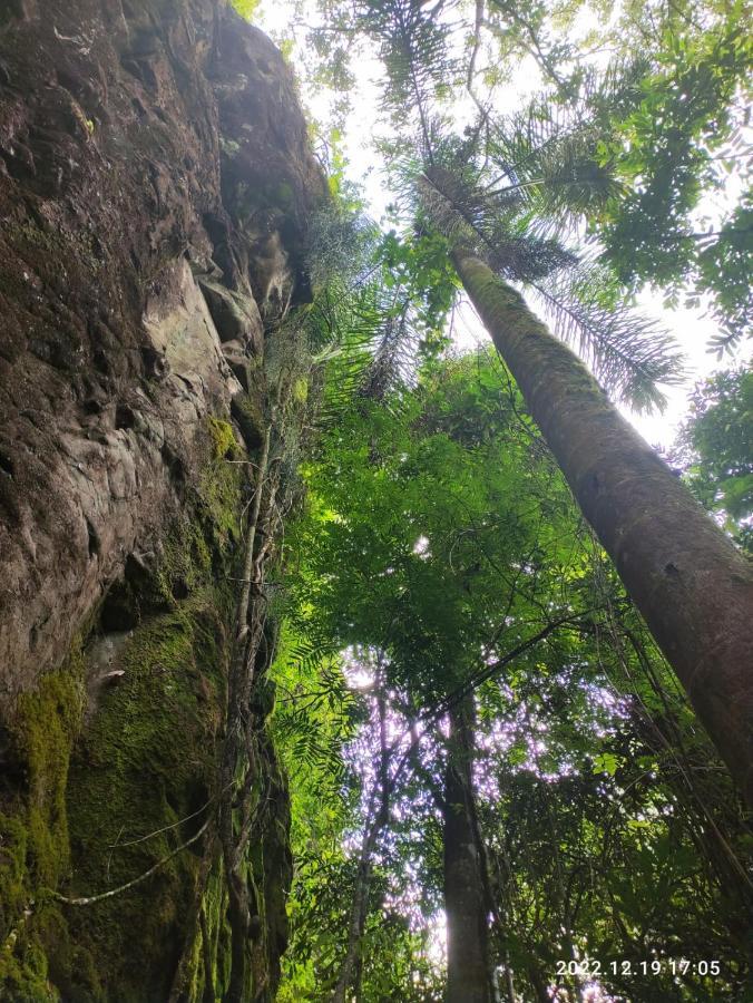 Вилла Cabana, Lagoas E Natureza! Relvado Экстерьер фото