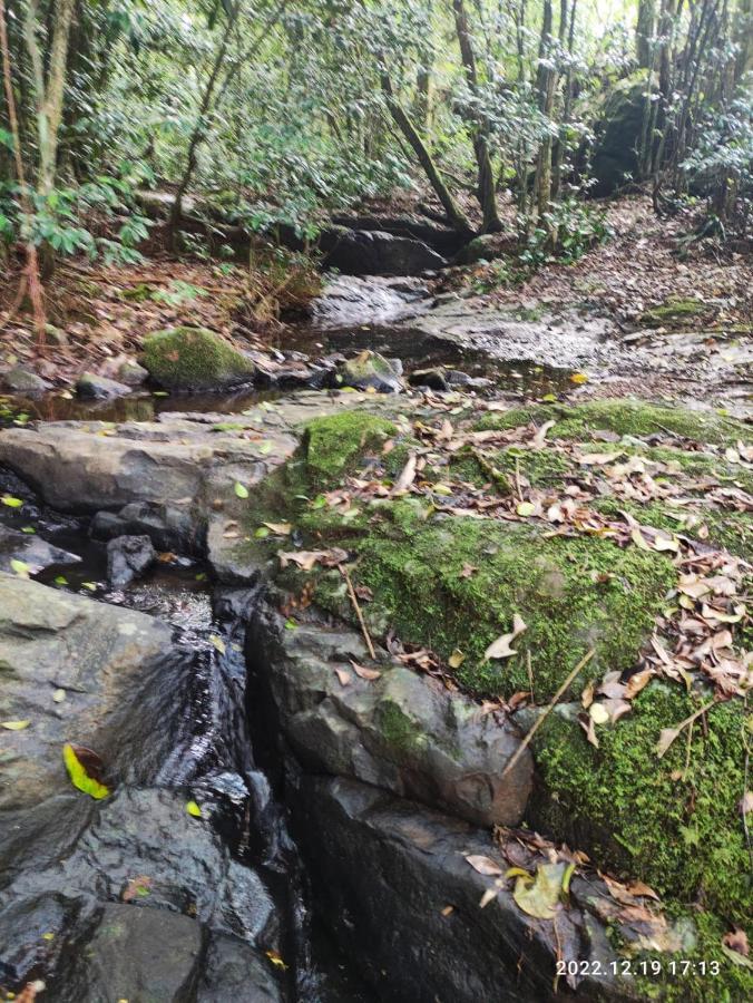 Вилла Cabana, Lagoas E Natureza! Relvado Экстерьер фото